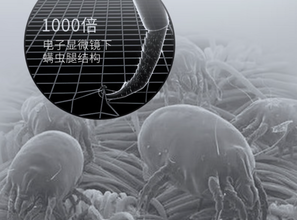 《选型号》：除螨仪真的不是智商税！真机效果测试，解压更解痒