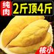  泰国猫山王榴莲肉树熟冷冻纯肉应季水果批发无壳　