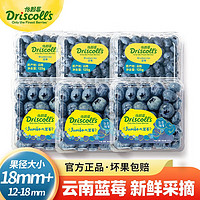 怡颗莓 蓝莓 生鲜水果礼盒 125g/盒 大果3盒+中果3盒