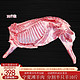 灵朔滩 宁夏滩羊肉 分割半只羊10斤