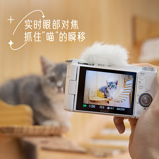 SONY 索尼 ZV-E10L Vlog微单相机 电池蓝牙手柄套装 APS-C画幅小巧便携 4K专业视