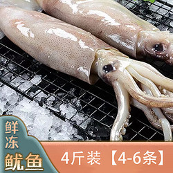 鲜冻鱿鱼（4-6条/4斤） 船冻鱿鱼整条