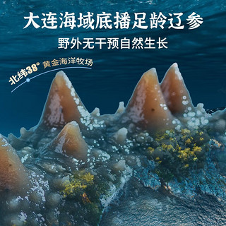 即食海参大连单独包装500g 深海底播刺参辽1斤海鲜干货生鲜礼盒 高品质9年7A海参