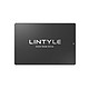 LINTYLE 凌态 SSD固态硬盘 256GB