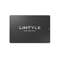 LINTYLE 凌态 SSD固态硬盘 256GB