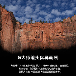 SONY 索尼 SEL50F14GM FE 50mm F1.4 GM 全画幅大光圈定焦 G大师镜头