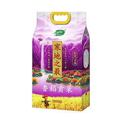 SHI YUE DAO TIAN 十月稻田 新米 寒地之最 香稻贡米 5kg