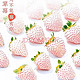 南枳淡雪草莓白色天使    顺丰空运 淡雪草莓礼盒装 500g