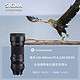  SIGMA 适马 100-400mm F5-6.3 DG DN OS C版 全画幅微单远摄变焦镜头E口　