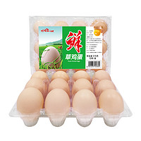 徐鸿飞小鲜蛋 鲜草鸡蛋 12枚/盒 576g
