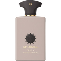 AMOUAGE 图书馆收藏5-森林交响乐中性香水 EDP 100ml