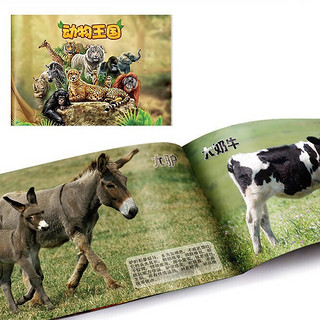 NUKied 纽奇 动物乐园系列 动物模型 收纳箱装（农场动物*12只+图册）