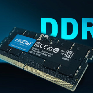 Crucial 英睿达 DDR5 5600MHz 笔记本内存 普条 黑色 16GB CT16G56C46S5