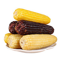 蔬香客 黑玉米6只+黄玉米6只 玉米棒 水果玉米 黏玉米自营 玉米粒