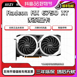 MSI 微星 RX6750XT机械师12G电竞游戏台式电脑AMD全新独立显卡吃鸡
