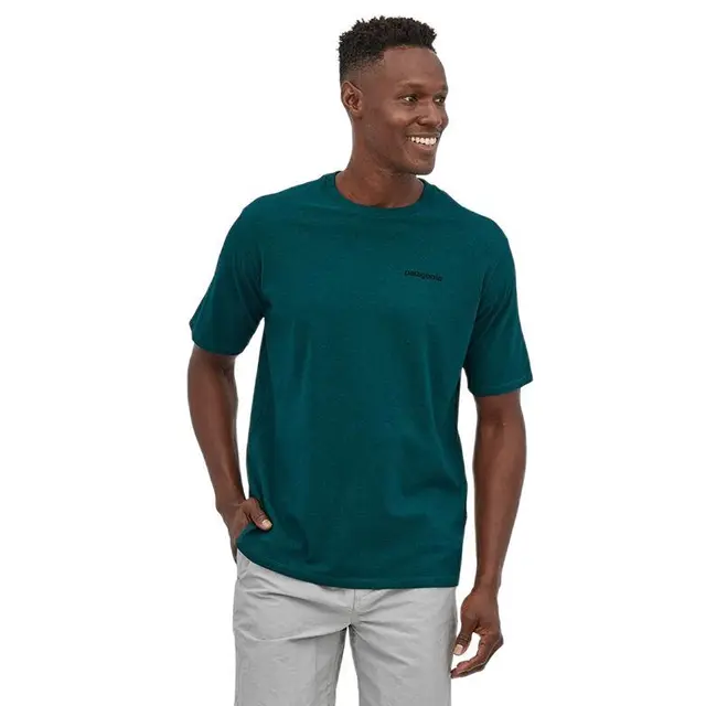 Patagonia 巴塔哥尼亚 P-6 男子户外T恤 38504