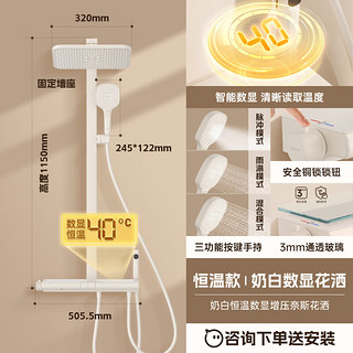 RIIFO 日丰卫浴 淋浴花洒套装 恒温款 奶油白色