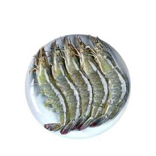 等渔号 盐冻厄瓜多尔白虾 15-18cm 2kg