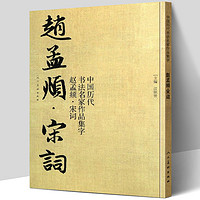 人民美术出版社 赵孟頫宋词 中国历代书法名家作品集字 江锦世 繁体简体对照毛笔临帖集字古诗词行书书法字帖楷行草人民美术正版包邮