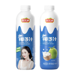 HUANLEJIA 欢乐家 椰汁椰奶 椰子汁920g*2瓶