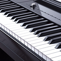 华星 88键重锤立式数码电子钢琴成人儿童初学S8黑色琴架款+全套配件