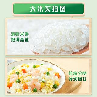 十月稻田 长粒香米20kg