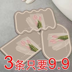 盛鹏 浴室吸水地垫入户进门垫卫生间防滑垫厨房厕所脚垫