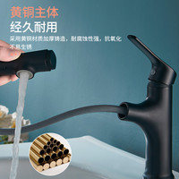 FAENZA 法恩莎 FEO1L211MB 抽拉式冷热双控水龙头