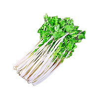 甘福园 新鲜白杆芹菜 1.5kg