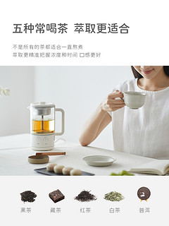 olayks煮茶器喷淋式黑茶白茶煮茶壶家用自动蒸汽养生壶办公室小型