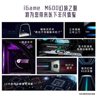 七彩虹（Colorful）iGame M600 幻境之眼水冷游戏台式电脑主机（12代i7-12700 16G RTX3070 500Gnvme 1TB）