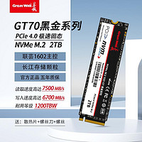 Great Wall 长城 GT70 2TB SSD固态硬盘M.2 支持PS5 NVMe协议 高速PCIe 4.0 X4