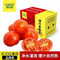 GREER 绿行者 红又红番茄5斤单果100g起品牌果新鲜蔬菜自然熟西红柿