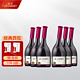 J.P.CHENET 香奈 送品牌酒杯 直接300香奈西拉干红葡萄酒 法国原瓶进口整箱