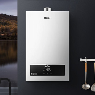 Haier 海尔 JSQ22-12UTSDMWM 燃气热水器 白色 12L