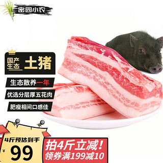 密园小农 新鲜土猪肉 五花肉 500g