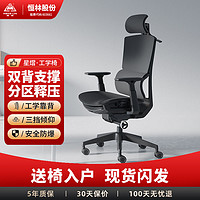 恒林 星熠人体工学椅高端电脑椅家用舒适久坐办公椅书房椅子电竞椅