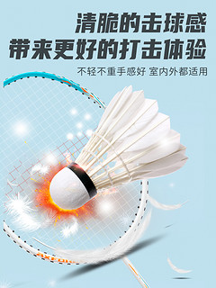 LI-NING 李宁 凯胜羽毛球李宁正品耐打王KD15防风稳定专业训练球12只装耐用室内