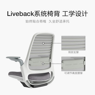 STEELCASE 世楷 Series 1人体工学椅家用办公电脑椅老板椅久坐舒适学习座椅 蓝灰色+头枕