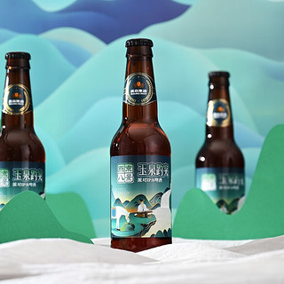 燕京啤酒 派对IPA 12度精酿啤酒330ml*12瓶整箱装