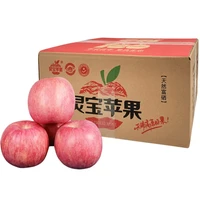 YUBAO 豫宝 灵宝苹果 单果80mm 18个