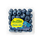 怡颗莓 蓝莓 超大果 125g