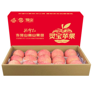 YUBAO 豫宝 灵宝苹果 单果80mm 15个 红礼盒