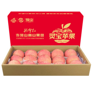 YUBAO 豫宝 灵宝苹果 单果80mm 15个 红礼盒