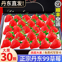丹东99草莓新鲜红颜牛奶奶油九九白草莓礼盒大果顺丰包邮5斤水果