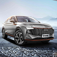 HAVAL 哈弗 神兽 23款 2.0T 两驱智尊版