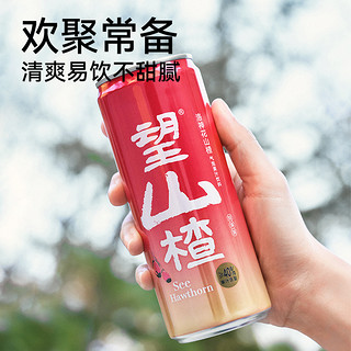 HOPE WATER 好望水 望山楂气泡水气泡果汁饮品旗舰店健康饮料整箱铝罐330ml