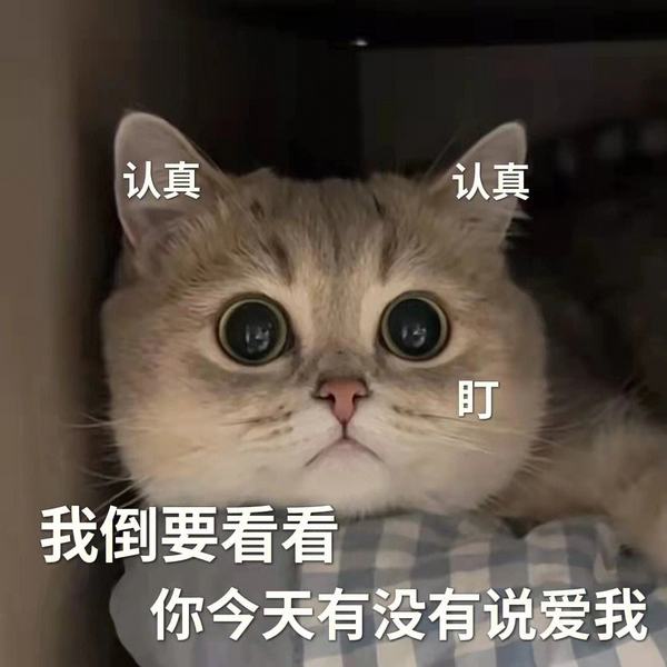 百利低敏鸡：猫粮选的好，养猫没烦恼～玻璃胃小猫咪的天选之粮