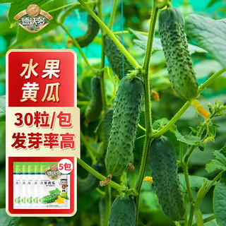 德沃多肥料水果黄瓜*5袋草籽蔬菜种花种子四季播种阳台盆栽黄瓜种籽孑大全