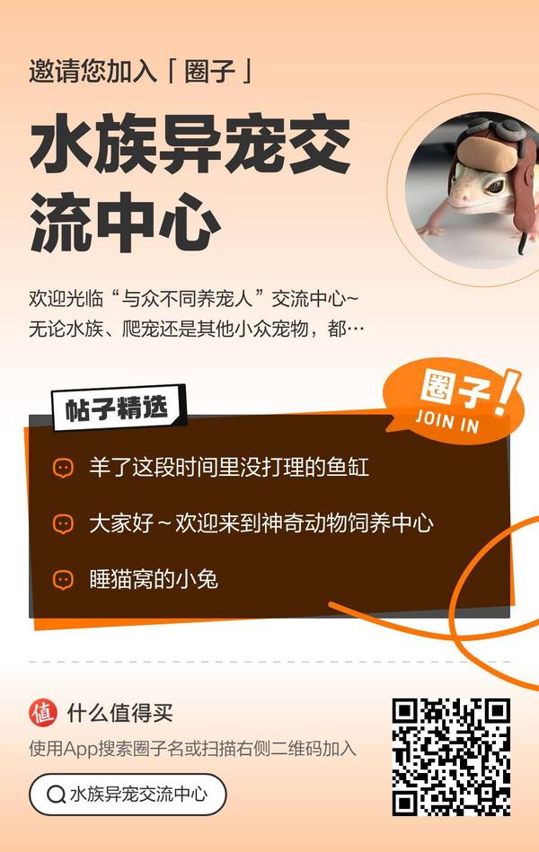 画法几何 &MOMOYOO 观山斗鱼缸MINI